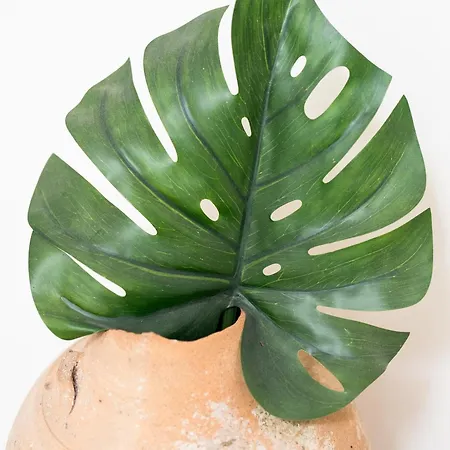 Uluvud With Pool Gym Sauna Villa *