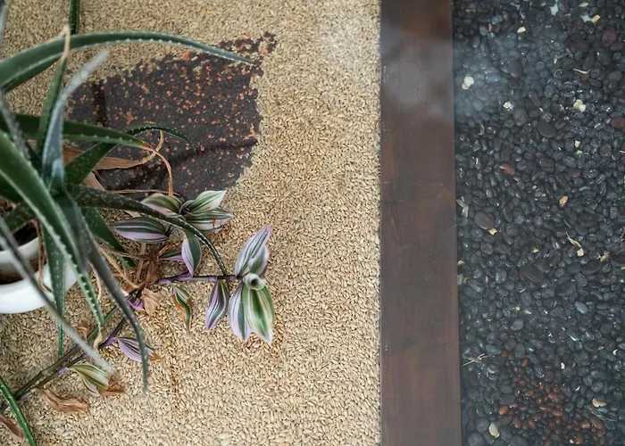 Uluvud With Pool Gym Sauna Alcamo