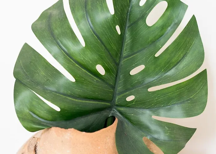 Uluvud With Pool Gym Sauna Villa *